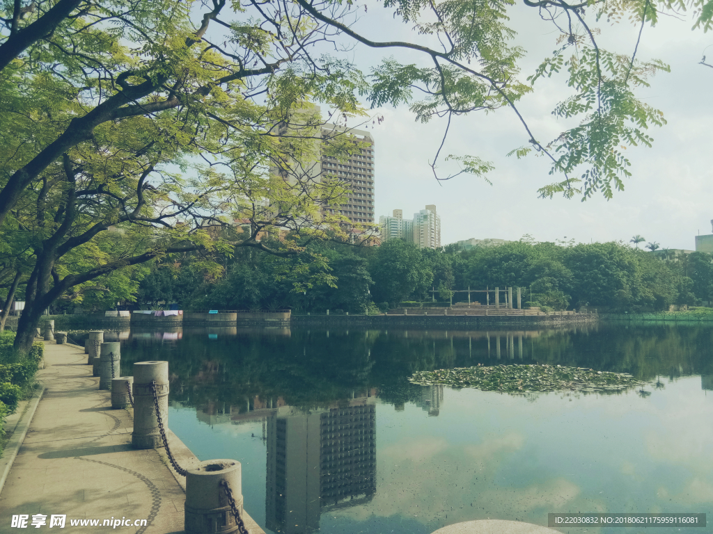 校园风景