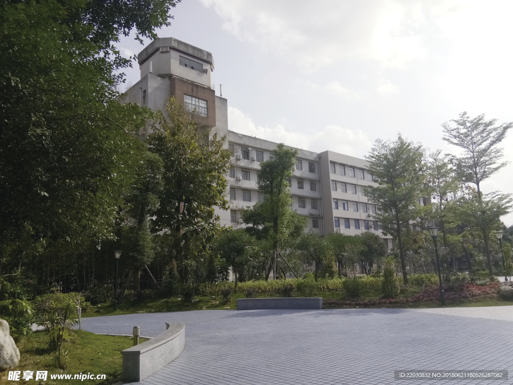 大学校园