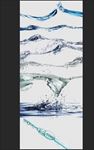 水花