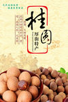 桂圆海报