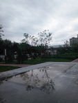 雨后小公园