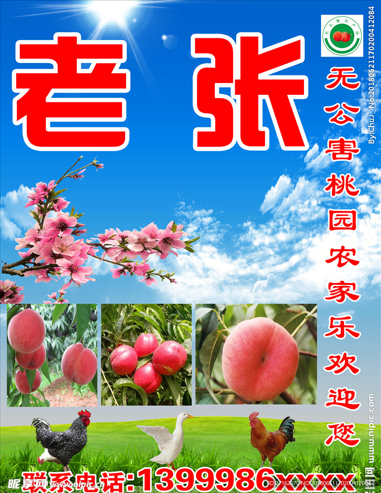 老张农家乐