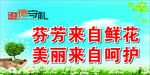 呵护