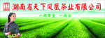 茶业