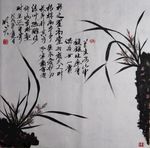 兰花