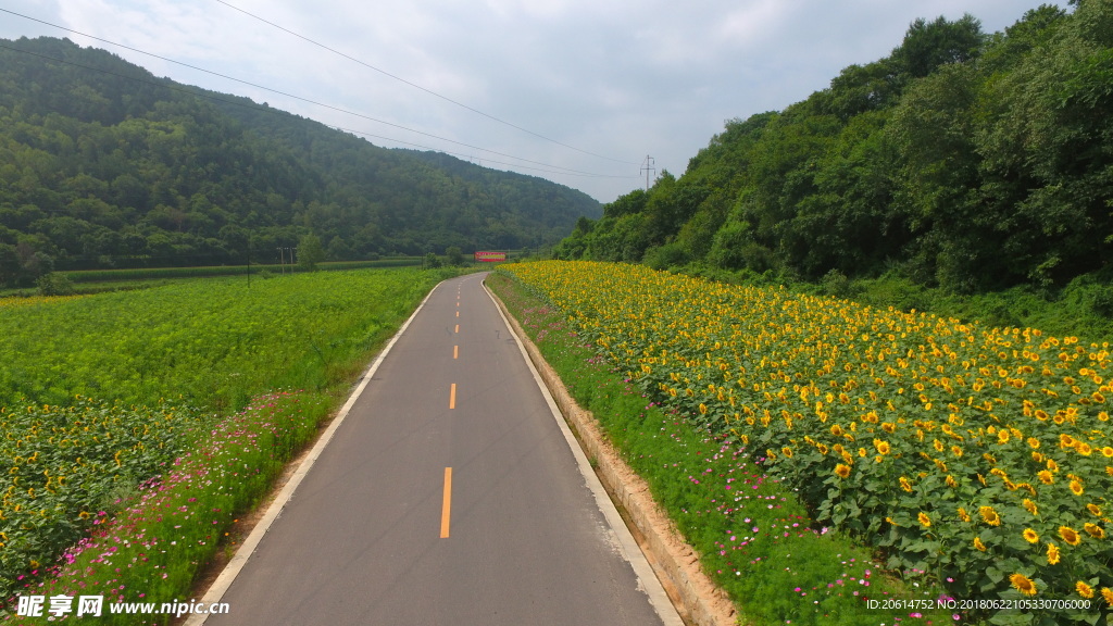 乡间道路风光
