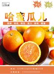 橙子海报