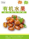 红枣海报