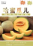 哈密瓜海报