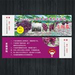 葡萄采摘园门票