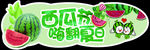西瓜节