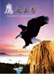 王者风范 老鹰 王者之风 鹰
