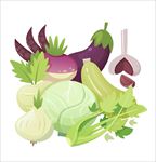 蔬菜图片