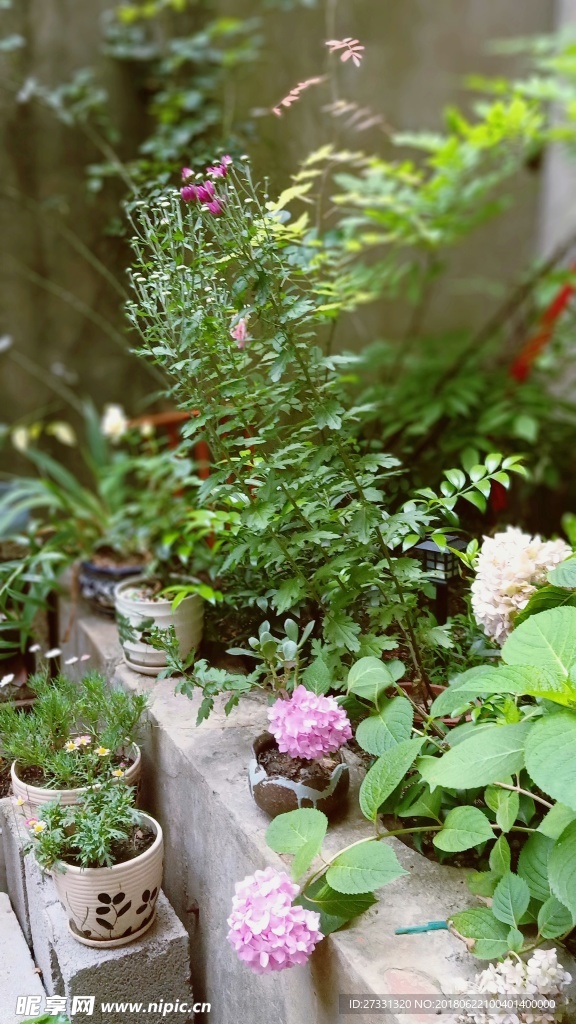 花园