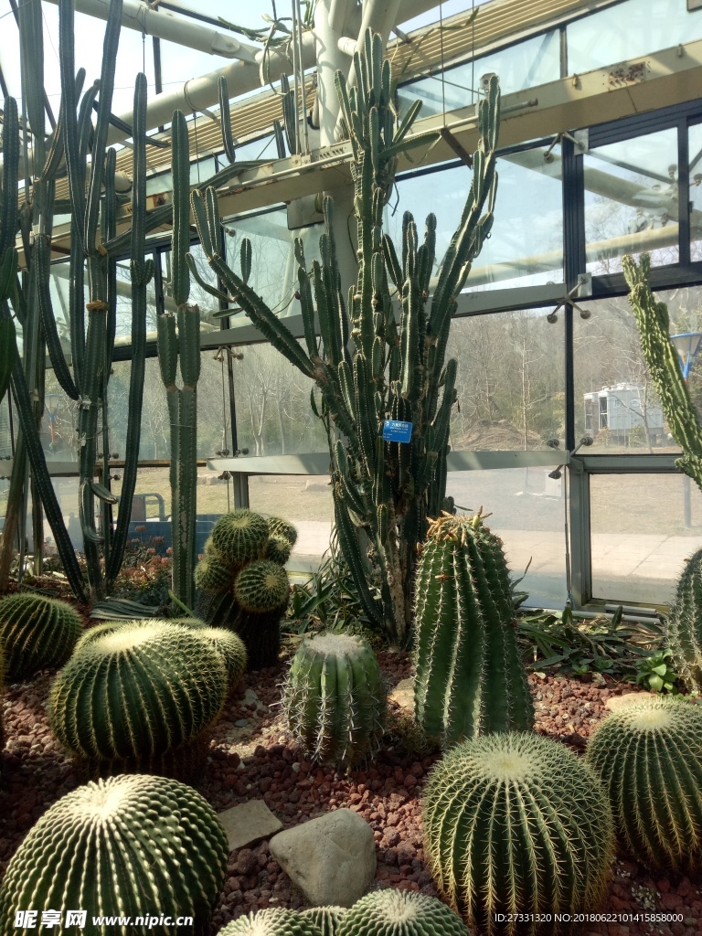 植物园