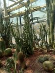 植物园