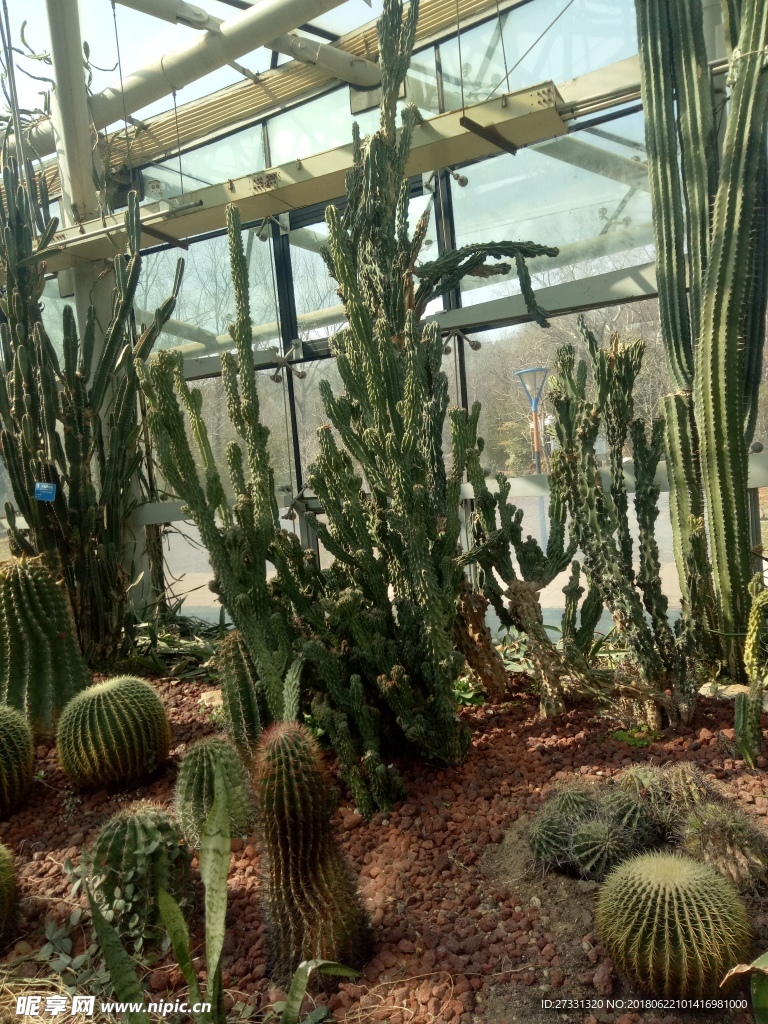 植物园