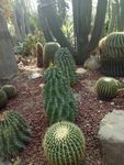 植物园
