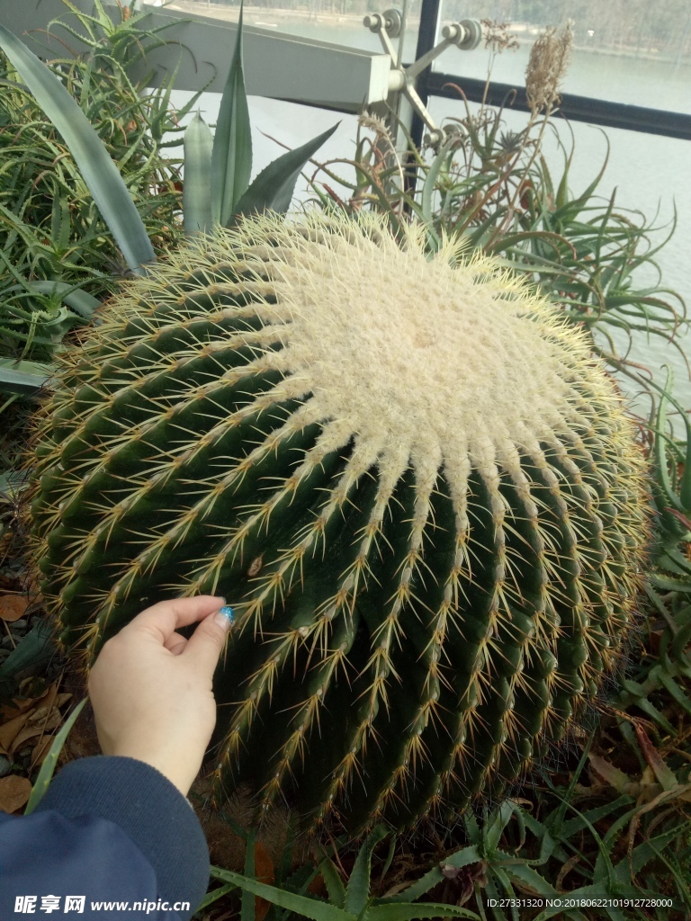 植物园