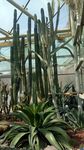 植物园温室