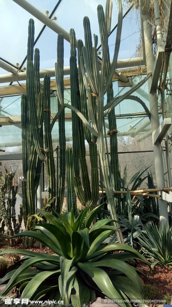 植物园温室