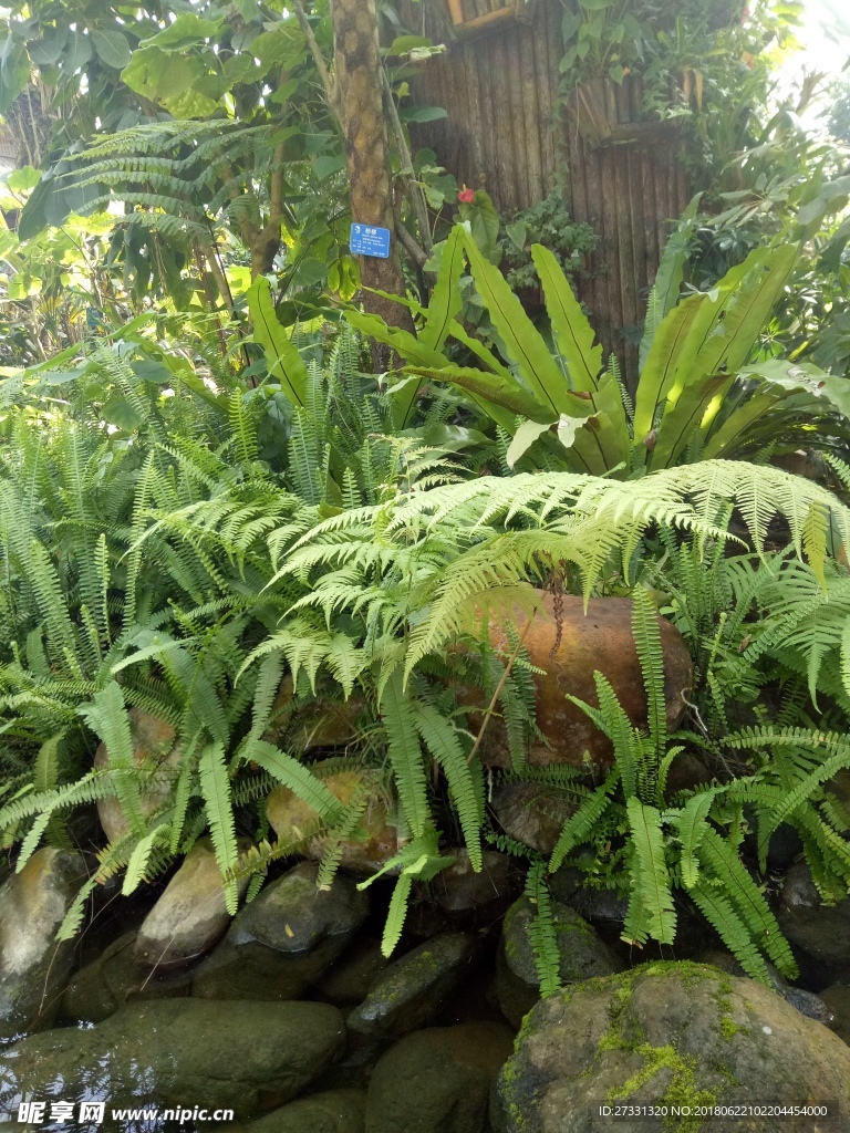 植物园