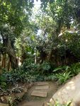 中山植物园温室