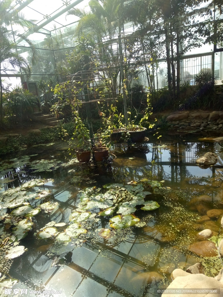 植物园