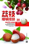 荔枝图片