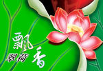 中秋月饼包装