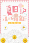 夏日小清新