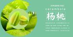 杨桃展板