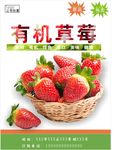 草莓海报