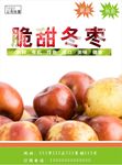 冬枣海报