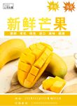 芒果海报