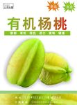 杨桃海报