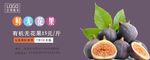 无花果海报