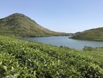 嵛山岛