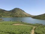 嵛山岛