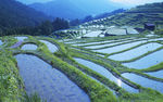 梯田