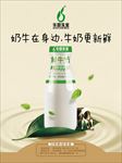 牛奶海报广告