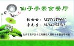 荷花水墨名片
