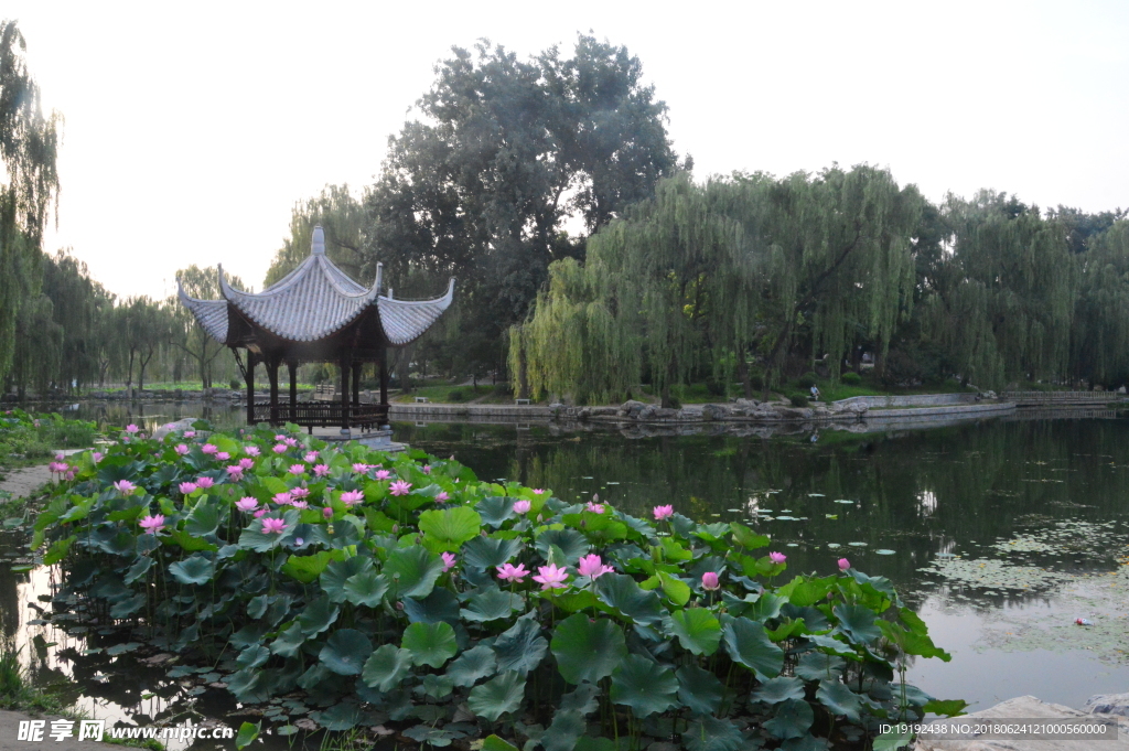 陶然亭风景