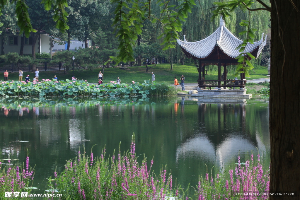 陶然亭风景