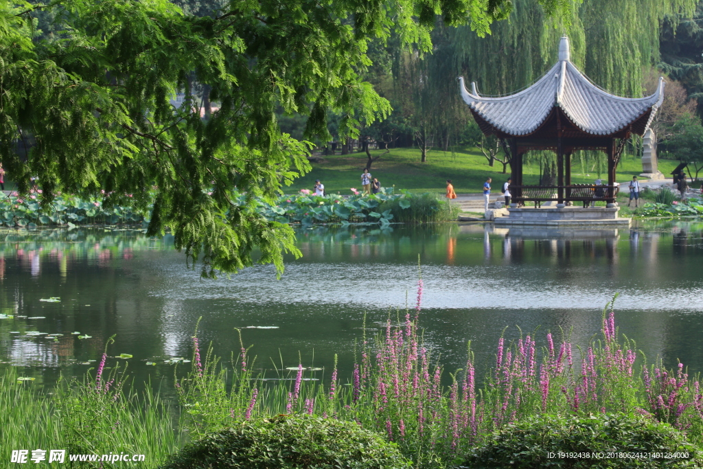陶然亭风景