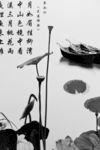 荷