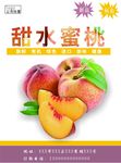桃子海报