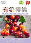 樱桃海报
