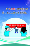 质量就是生命