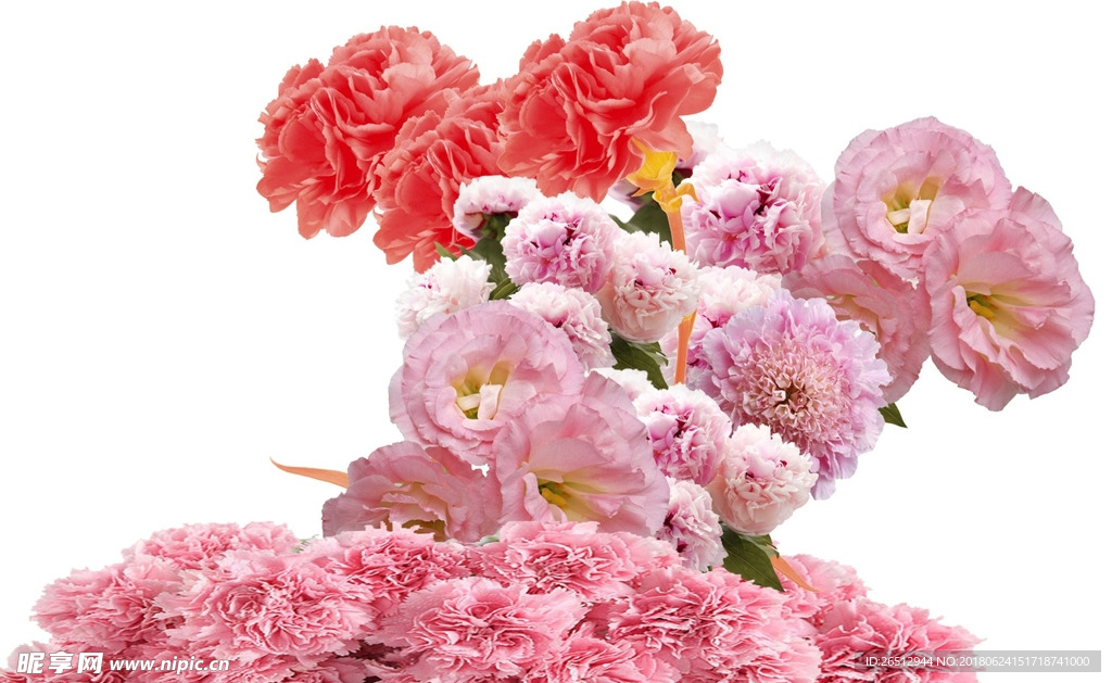 花丛
